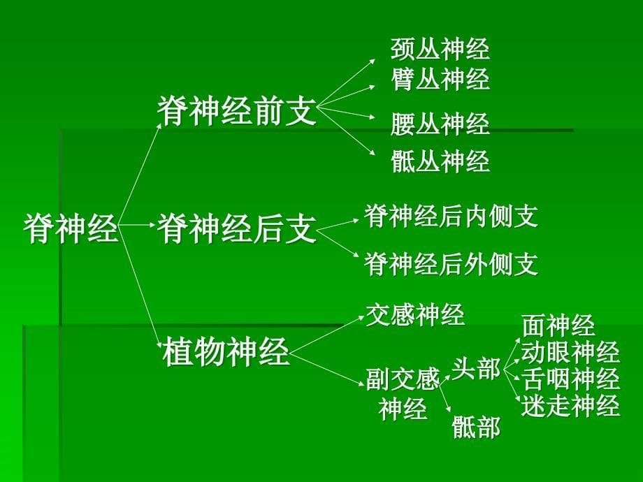 脊柱相关疾病_第5页