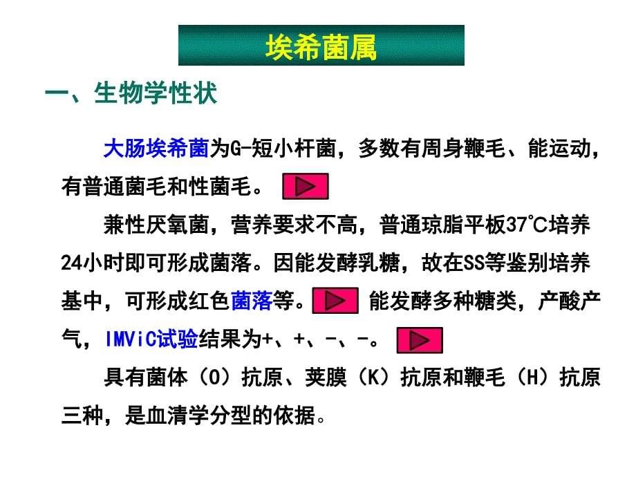 《消化道感染细菌》PPT课件_第5页