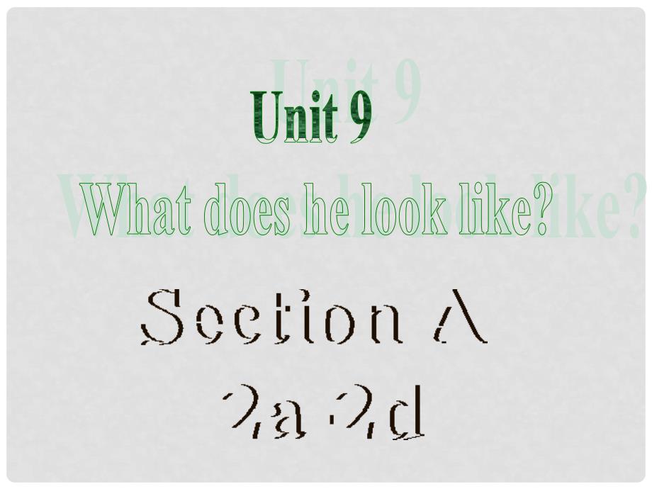 河北省邢台市临西一中七年级英语下册《Unit 9 What does he look like Section A 2a2d》课件 人教新目标版_第2页