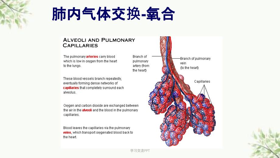 呼吸机的临床应用课件_第4页