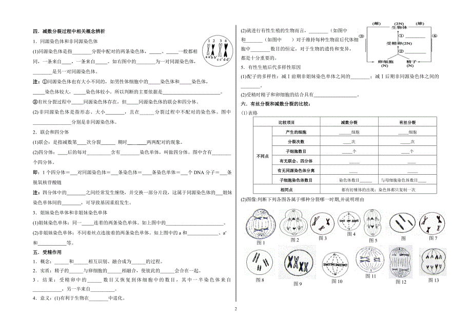 减数分裂和受精作用导学案_第2页