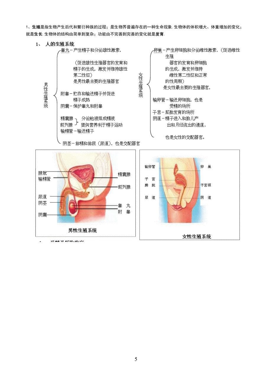 北师大版八年级上册生物知识点总结(DOC 8页)_第5页