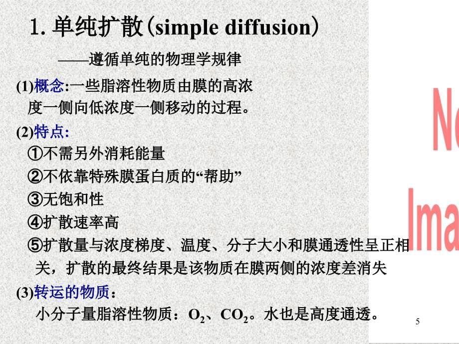 02神经肌肉组织的一般生理_第5页