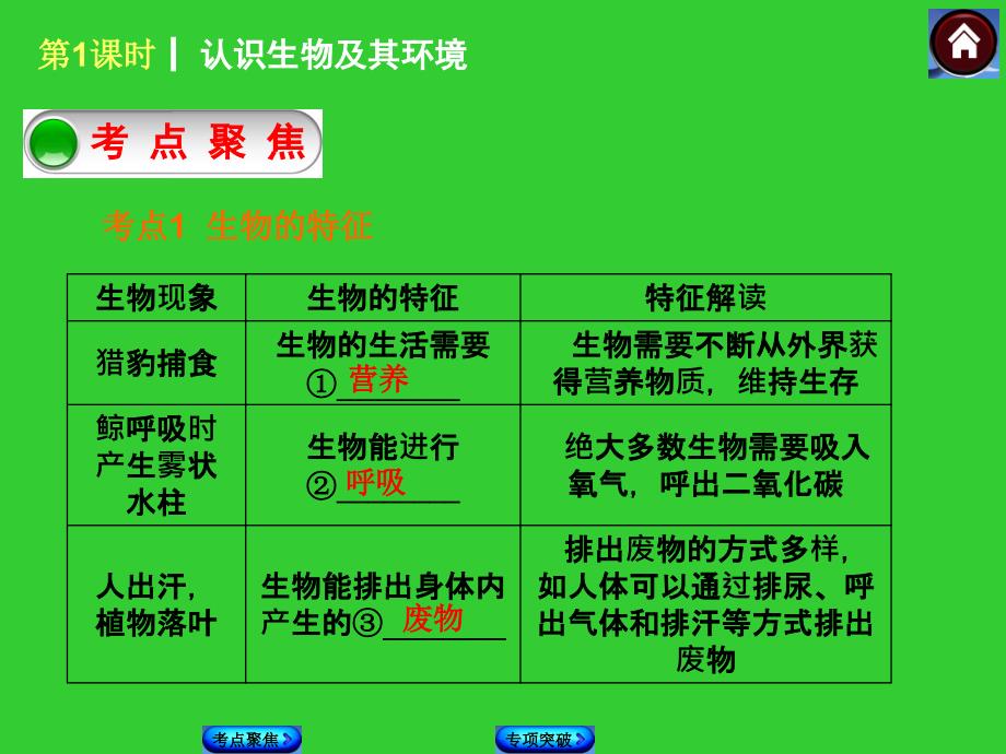 第1课认识生物及其环境_第4页