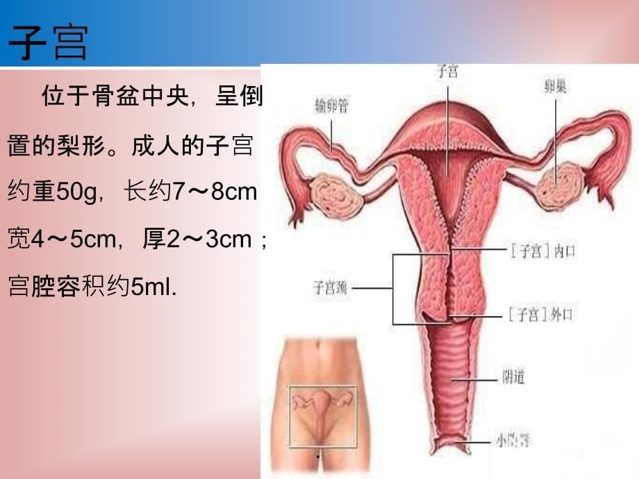 子宫肌瘤护理查房最新版本_第5页