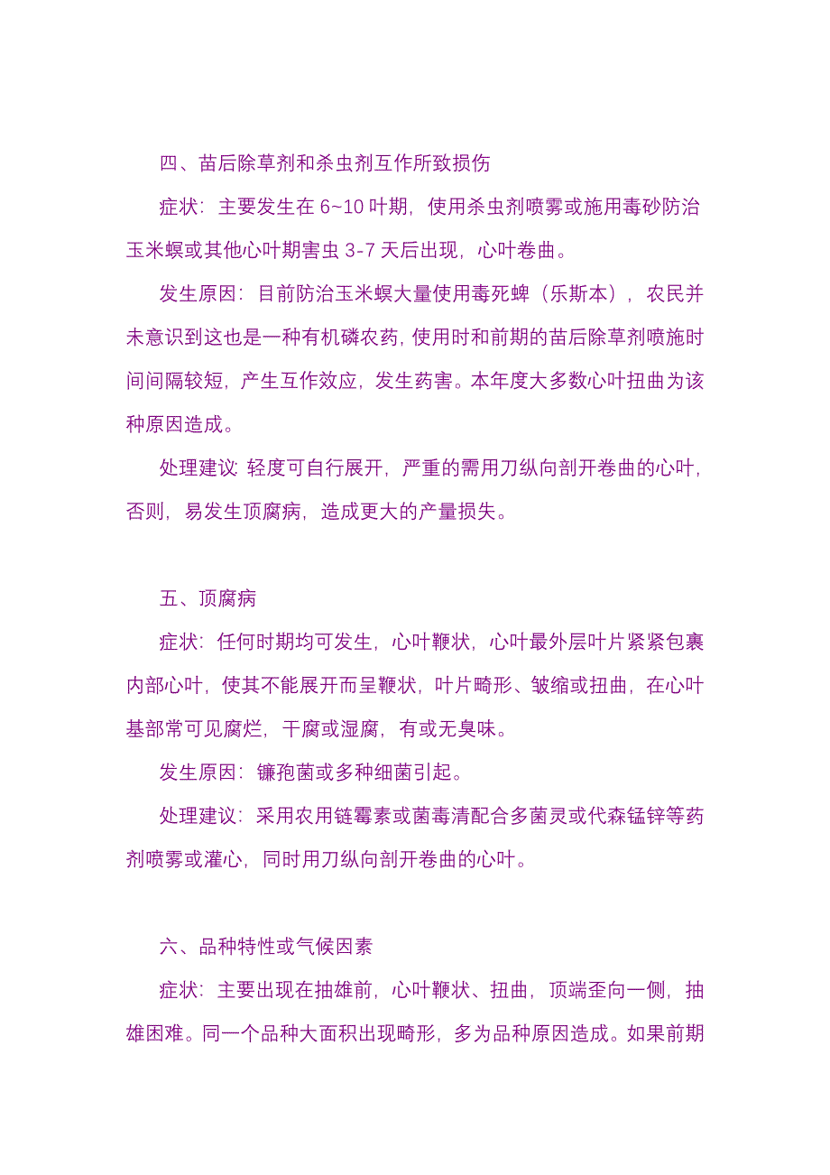 玉米新叶扭曲原因及防治.doc_第3页