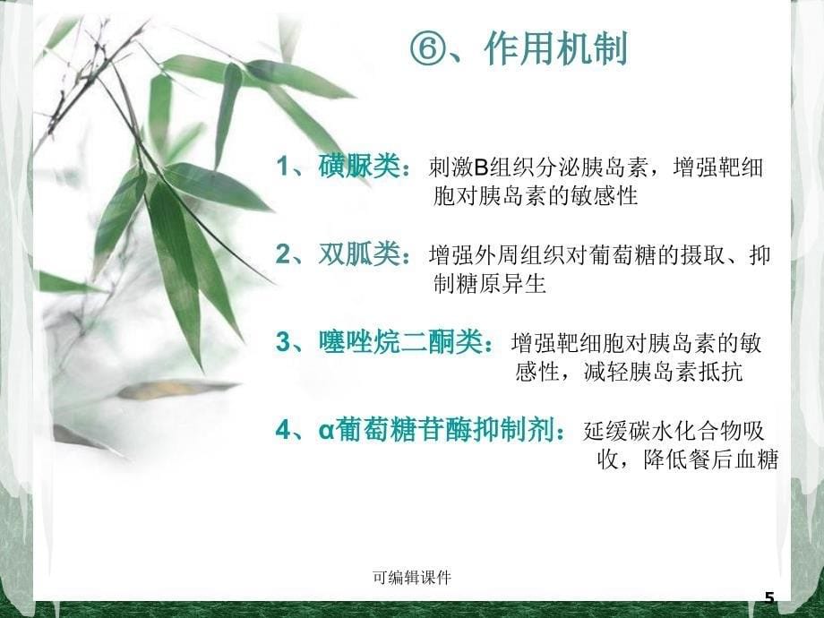 《糖尿病用药护理》课件_第5页