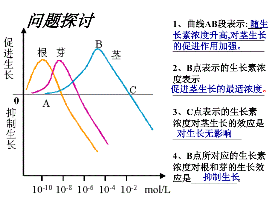 稳态与环境生长素的生理作用_第4页