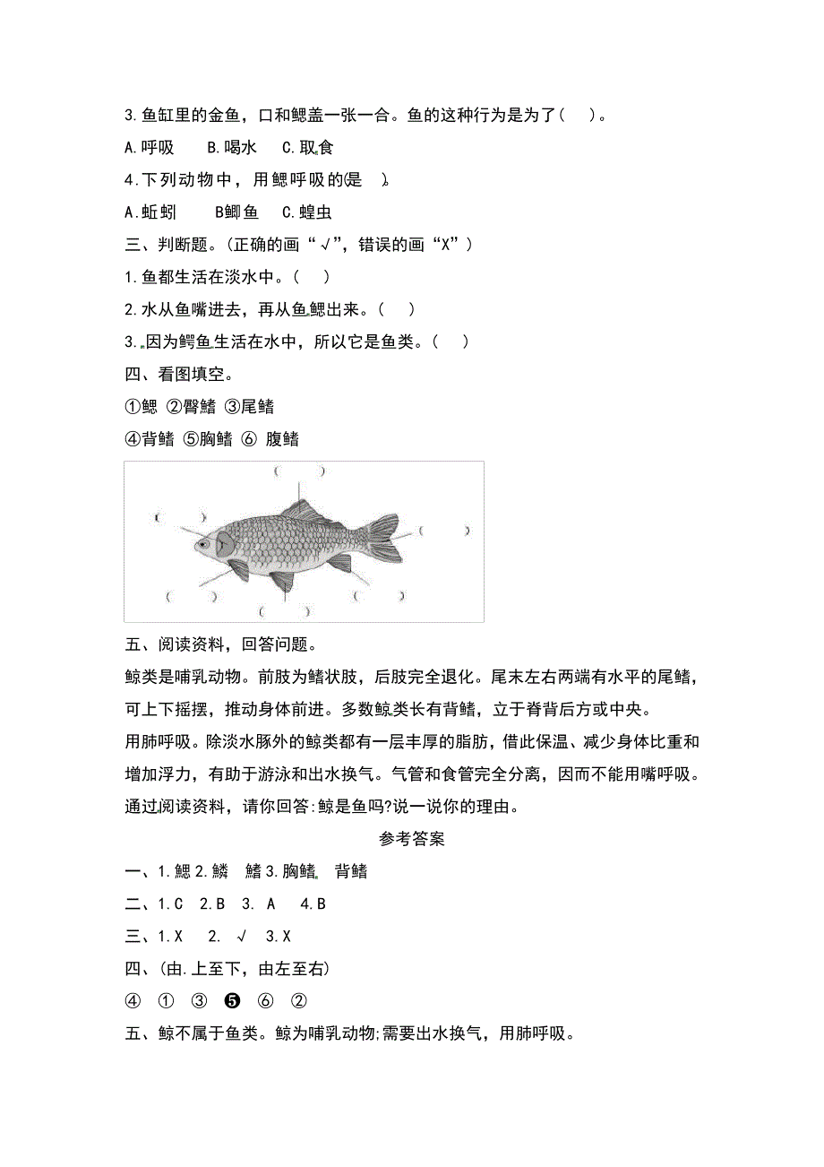 鱼教案及反思_第3页