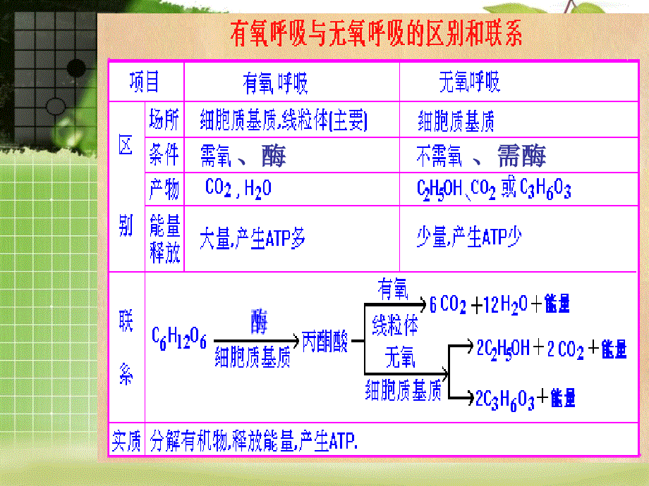 光合作用和呼吸作课件_第2页