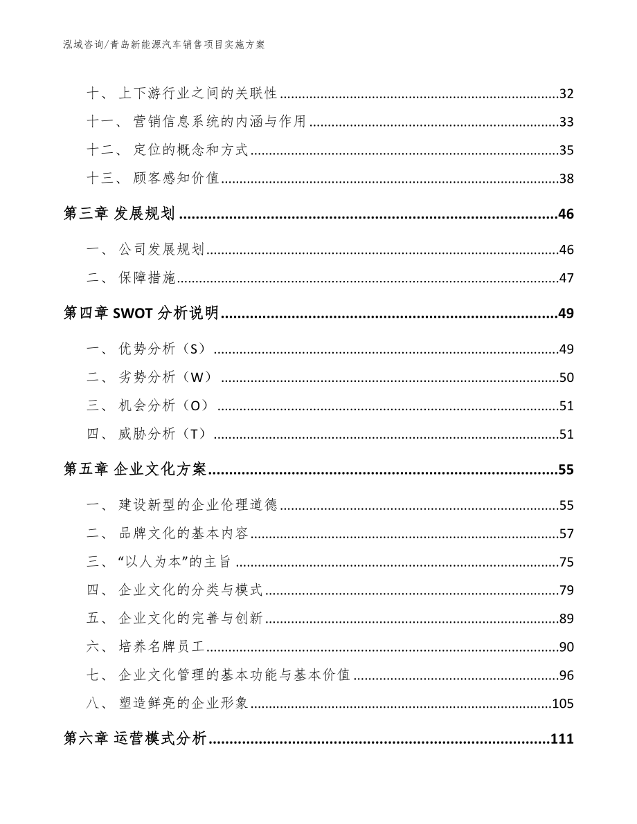 青岛新能源汽车销售项目实施方案_第2页