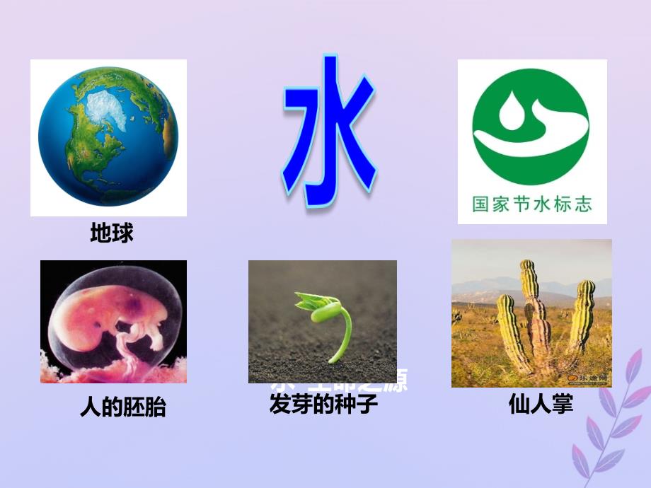 高中生物专题08细胞中的无机物同步课件新人教版必修1_第3页