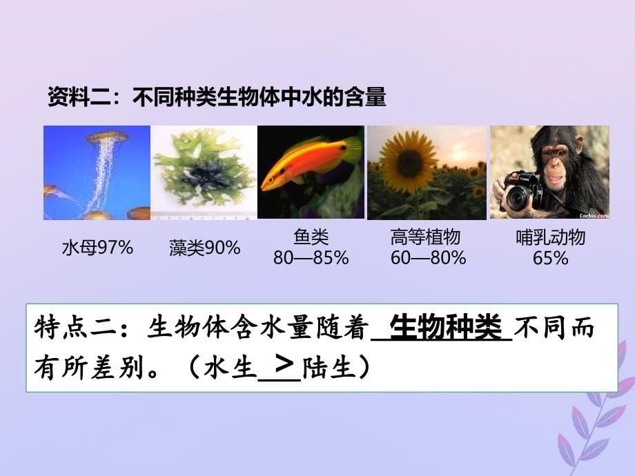 高中生物专题08细胞中的无机物同步课件新人教版必修1_第5页