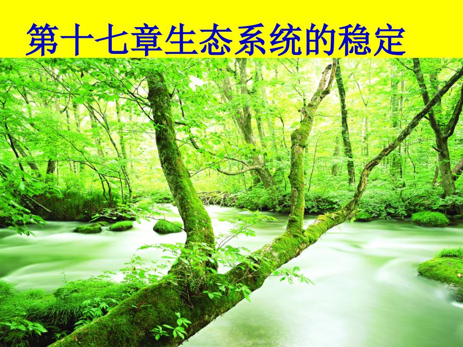 18.1绿色植物与生物圈中的水循环_第1页