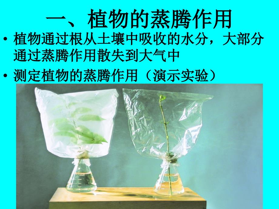 18.1绿色植物与生物圈中的水循环_第4页