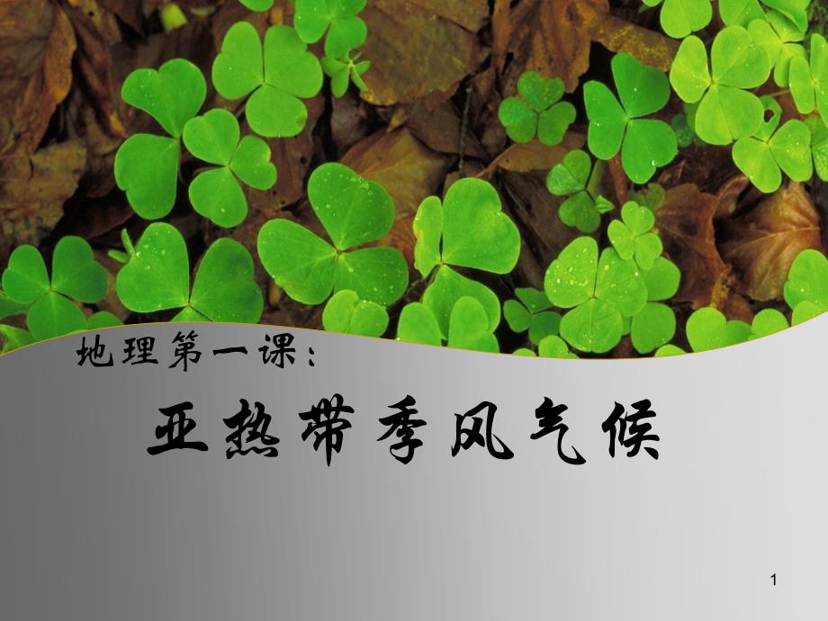 亚热带季风气候_第1页