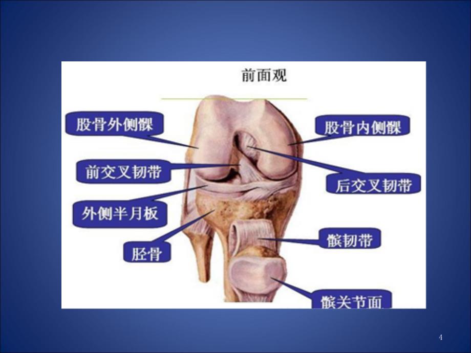 精选课件膝关节退行性病变_第4页