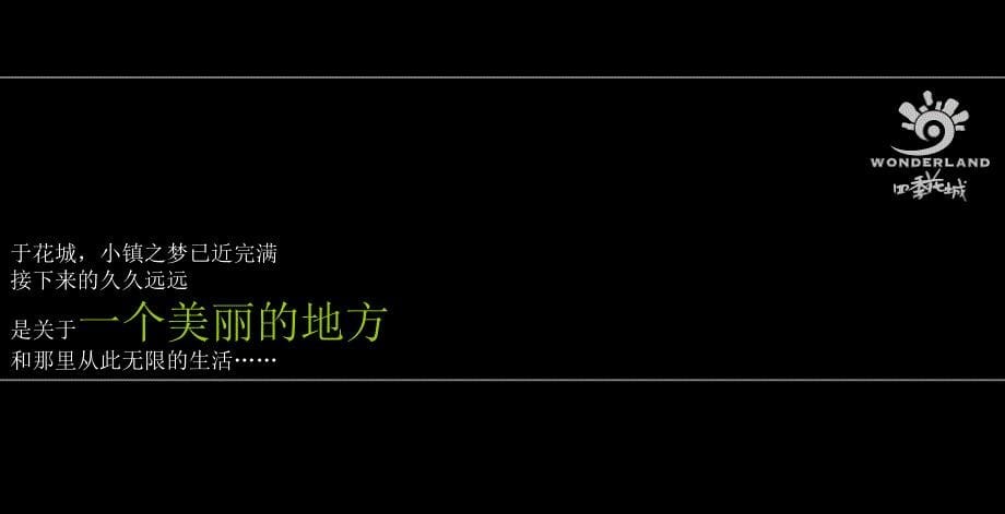 万科西半岛内部产品推介会50页PPT_第5页