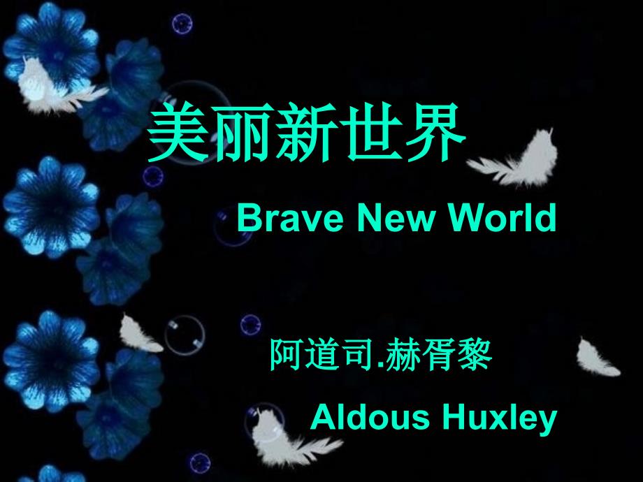 BRAVENEWWORLD美丽新世界_第1页