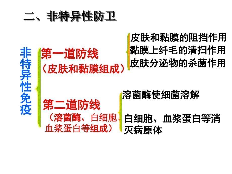 免疫系统上课_第5页