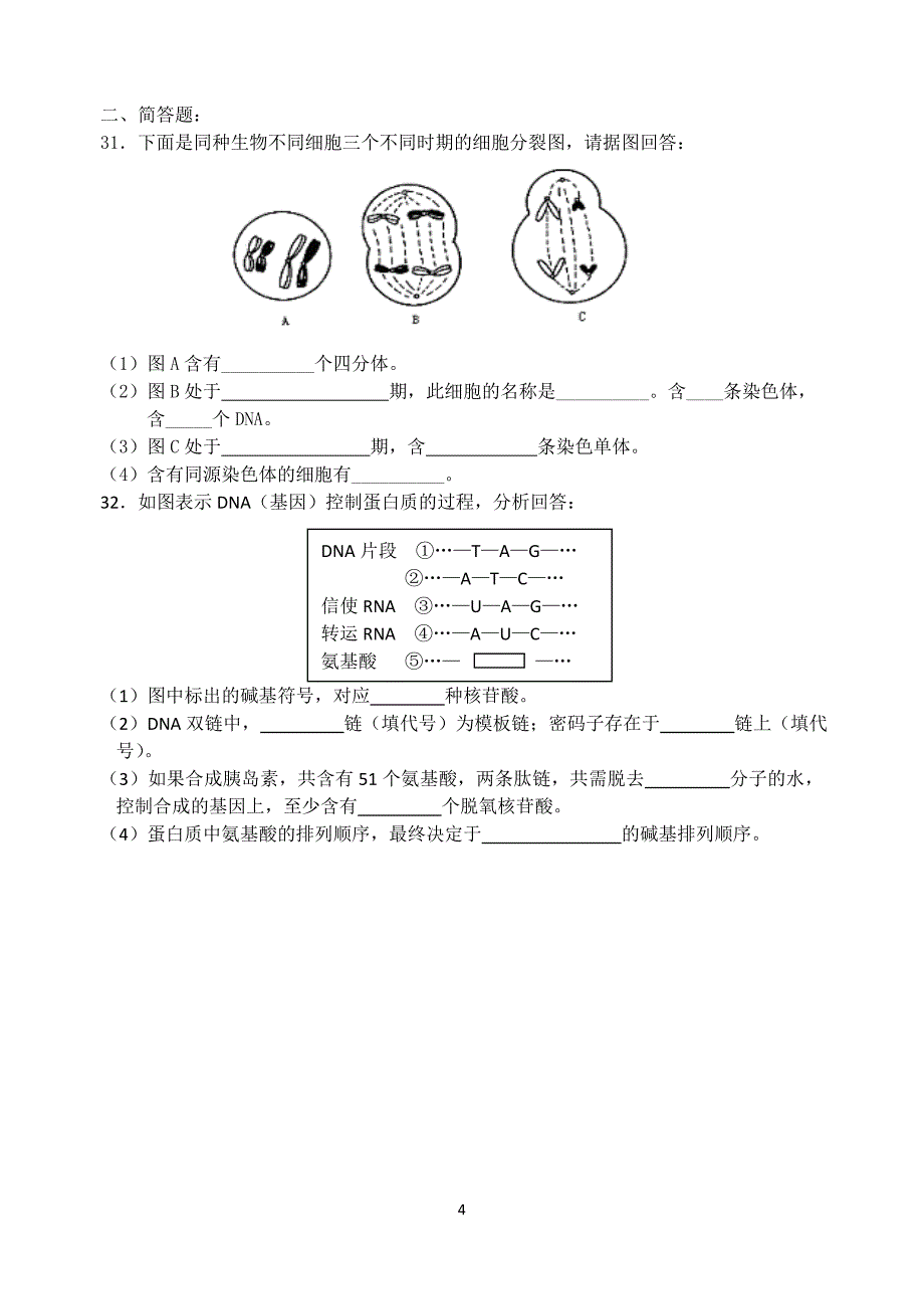 高一第二学期期末复习遗传的细胞核分子基础.doc_第4页