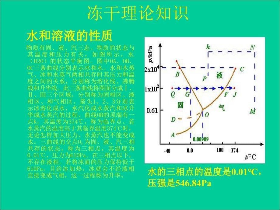 冻干机生产使用培训课件_第5页