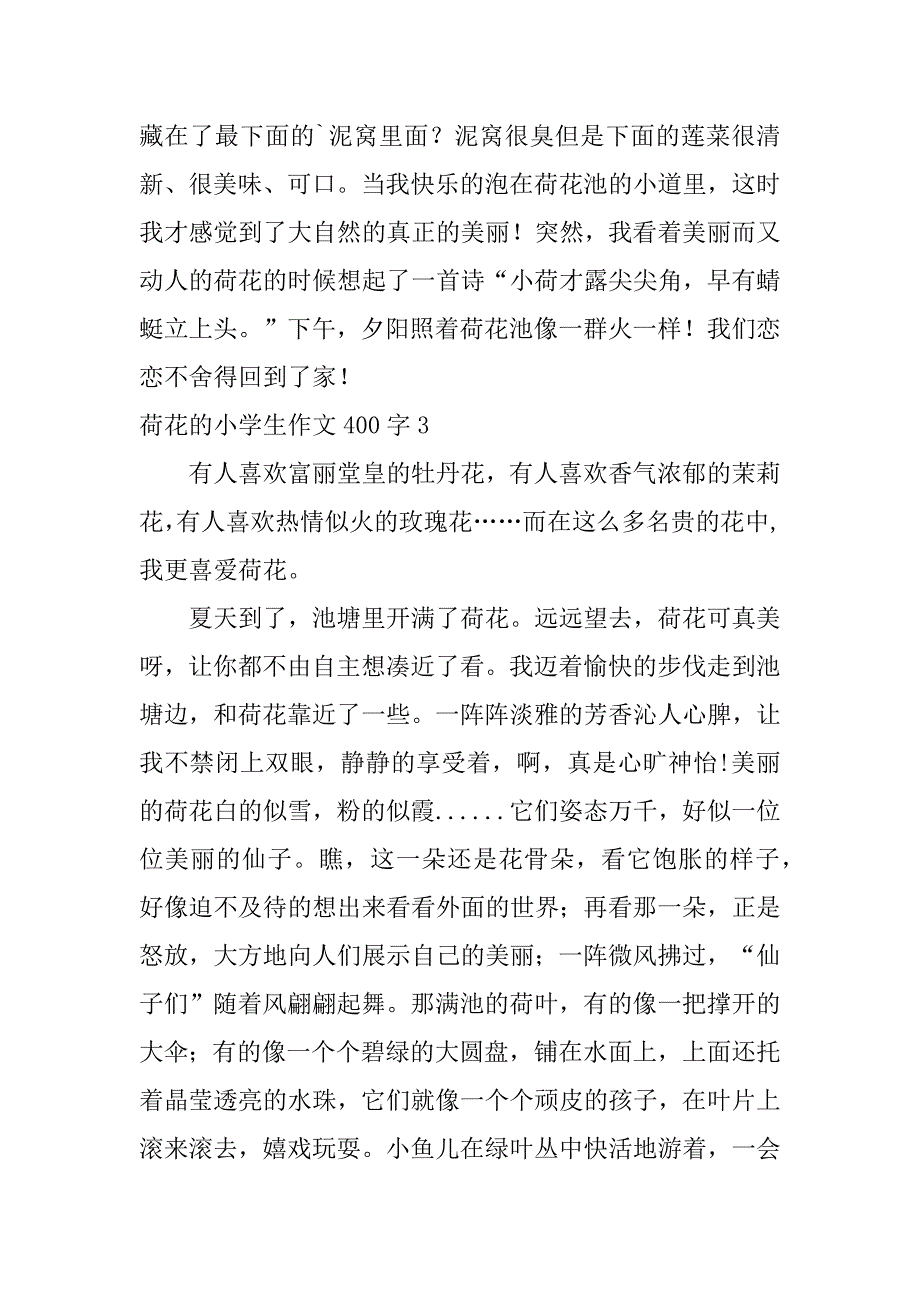 2023年荷花小学生作文400字（完整文档）_第3页