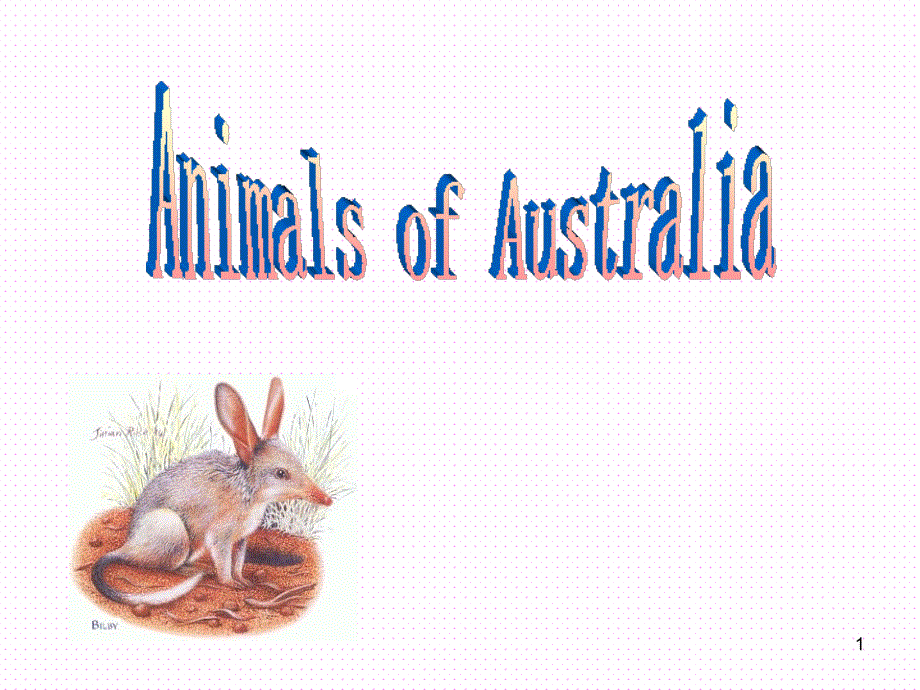 英语学习澳大利亚动物介绍_australia_animals(英文)模版课件_第1页