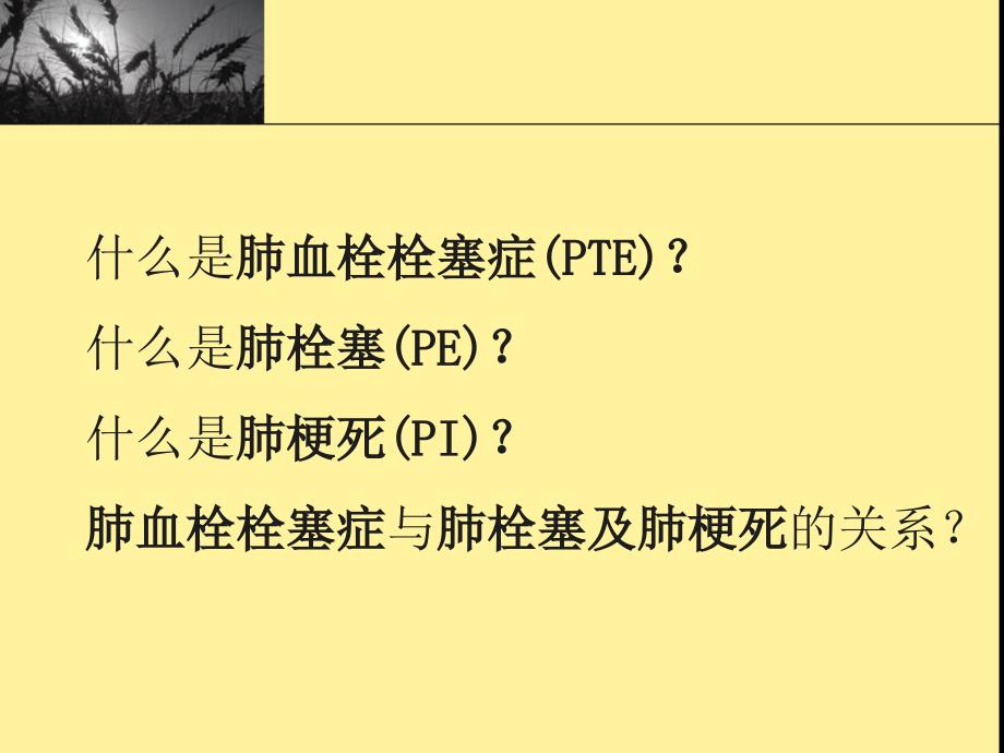 肺血栓栓塞症及其预防.ppt_第2页