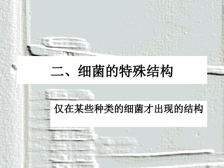 细菌的特殊结构_第1页