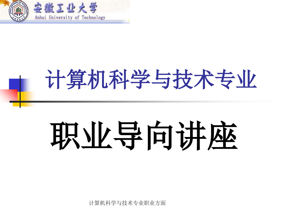 计算机科学与技术专业职业方面课件_第1页