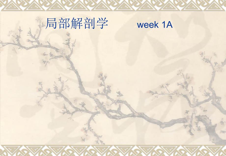 局部解剖学：局解1-胸前区腋区_第1页