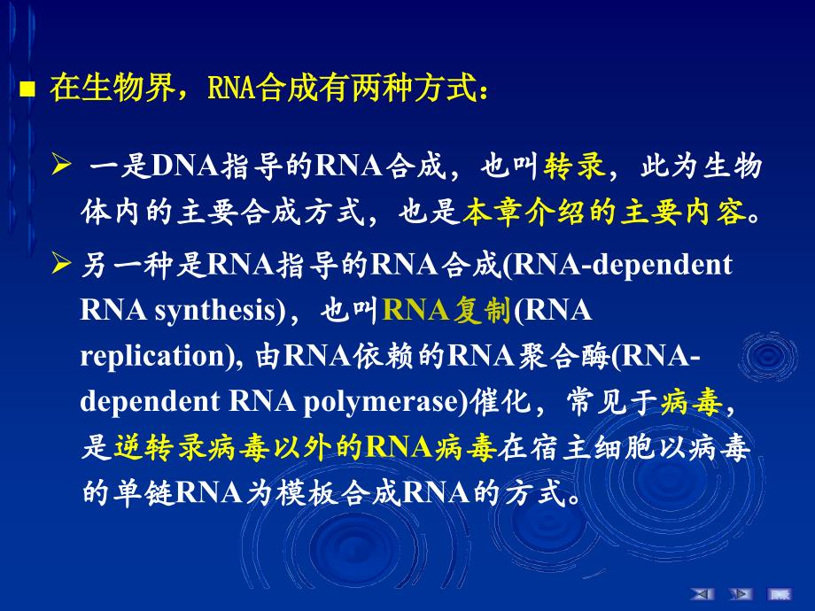 RNA的生物合成1课件_第3页