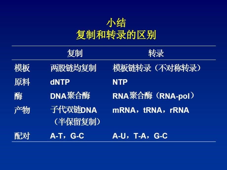 RNA的生物合成1课件_第5页