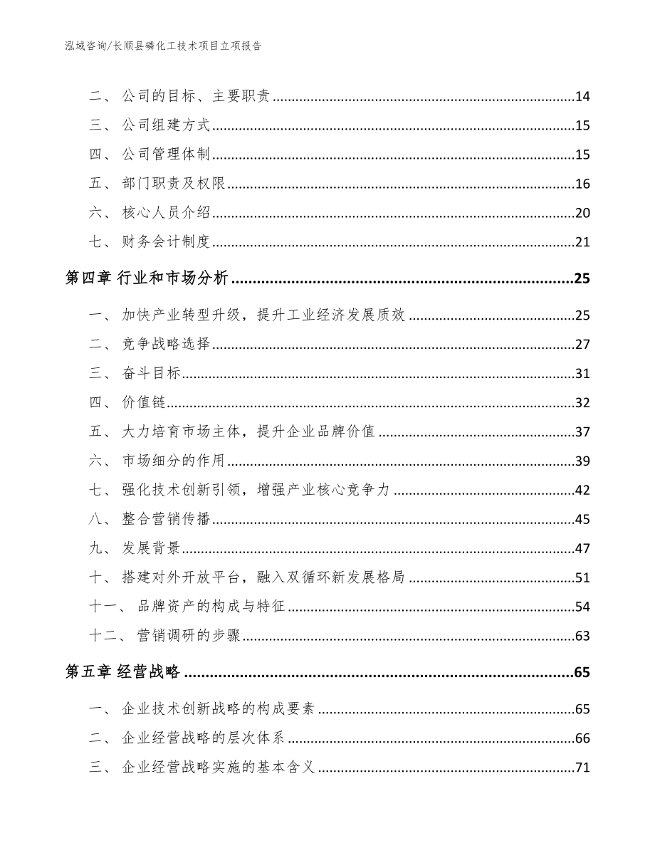 长顺县磷化工技术项目立项报告（参考范文）_第3页