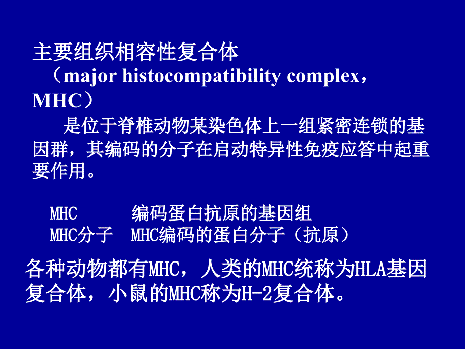 MHC及其编码分子.ppt_第3页