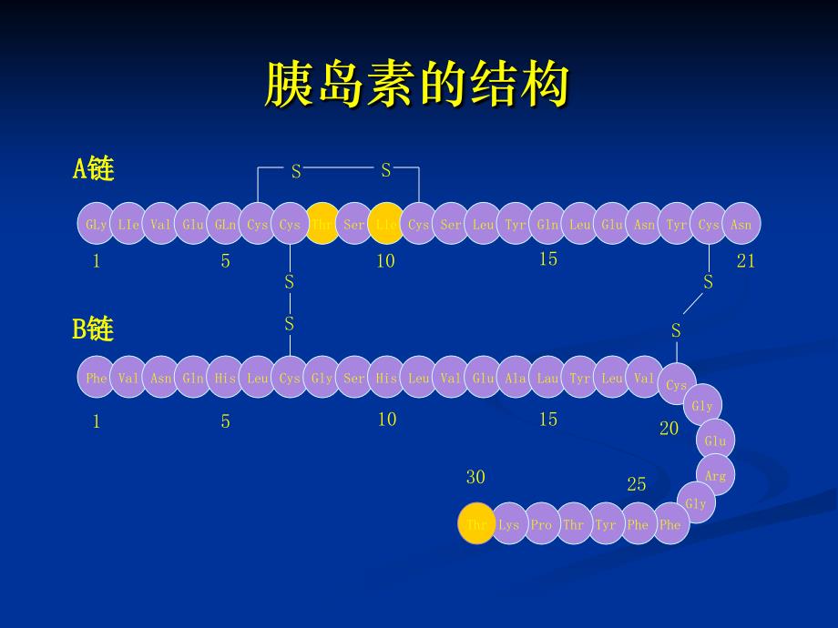 最全胰岛素的种类及用法.ppt_第4页