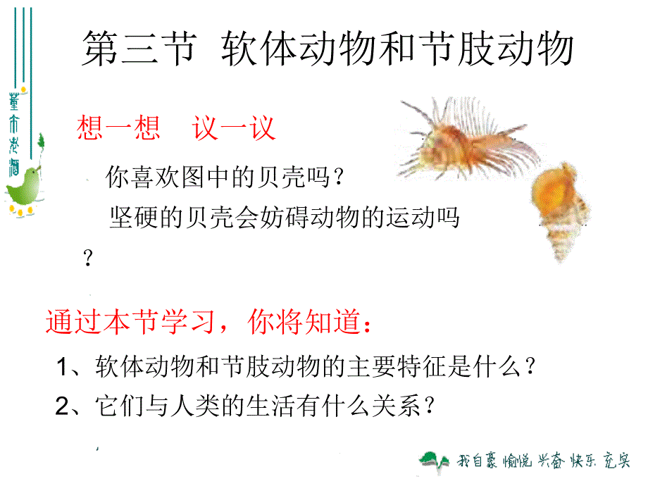 513软体动物和节肢动物[精选文档]_第2页