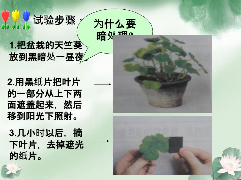 初一生物绿色植物通过光合作用制造有机物_第4页