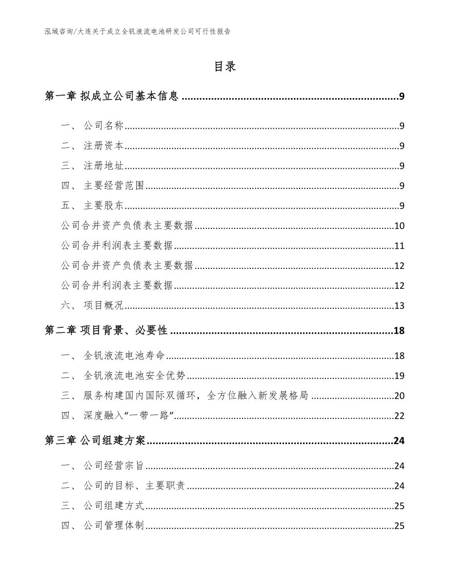 大连关于成立全钒液流电池研发公司可行性报告（模板范文）_第2页