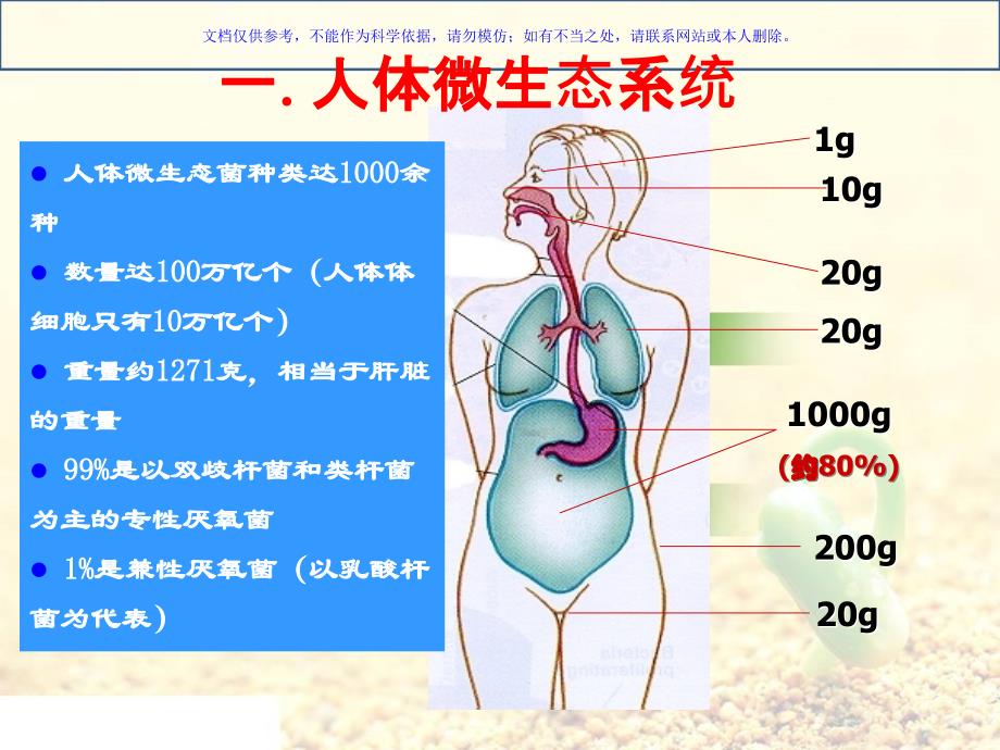 益生菌的相关知识ppt课件_第2页