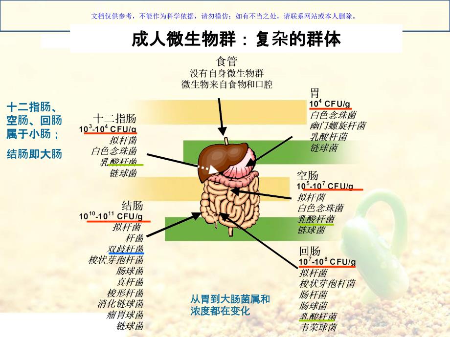 益生菌的相关知识ppt课件_第3页