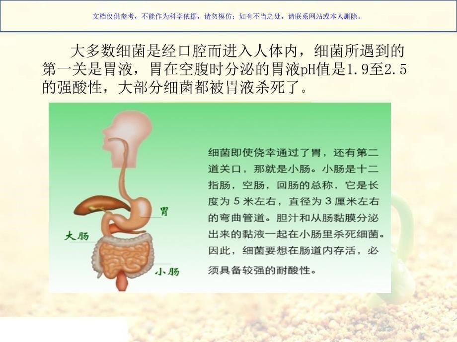 益生菌的相关知识ppt课件_第5页