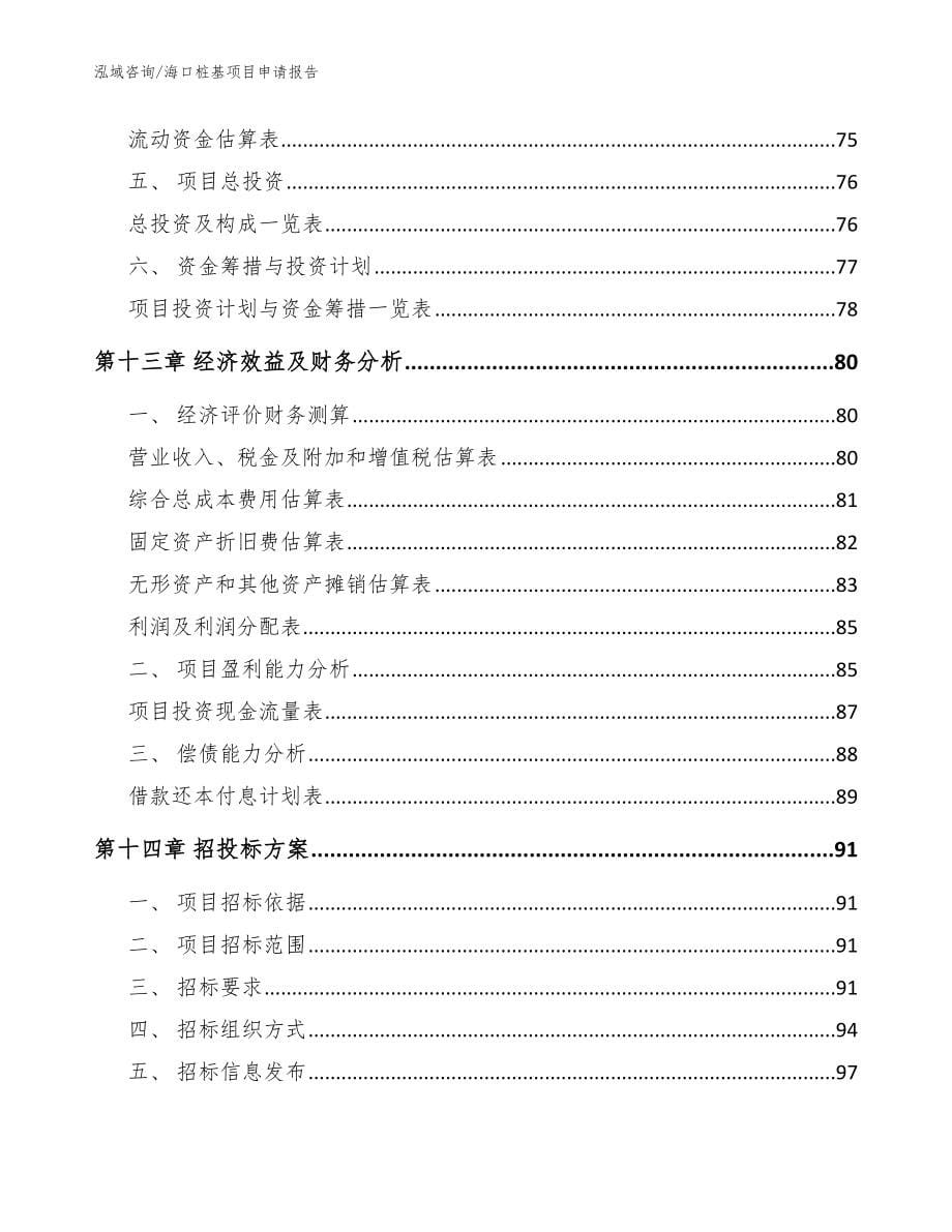 海口桩基项目申请报告（模板范文）_第5页