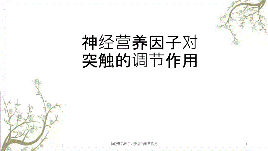 神经营养因子对突触的调节作用课件_第1页
