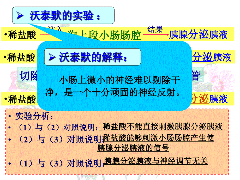 培训资料-通过激素的调节_第3页