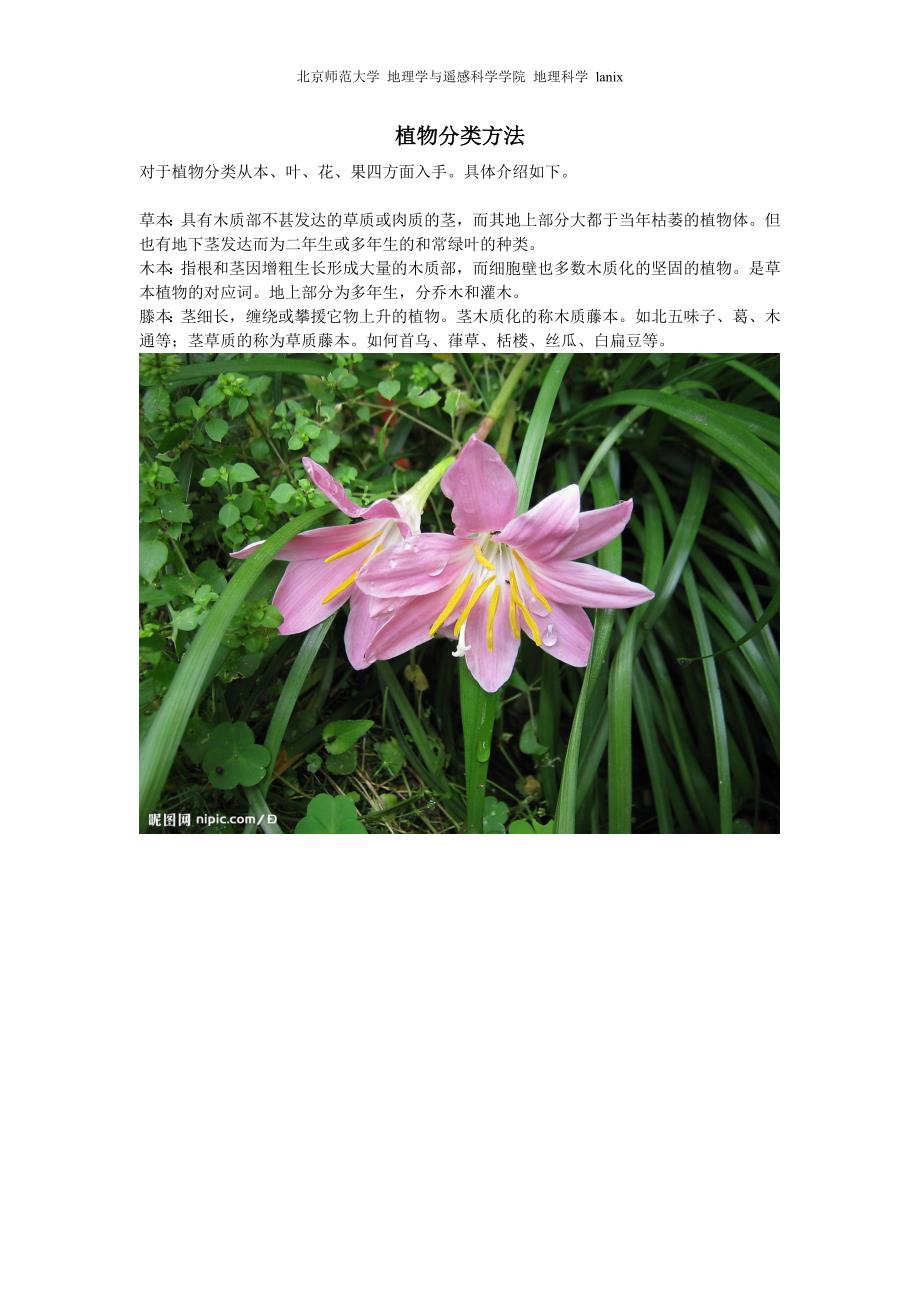 植物形态分类.doc_第1页