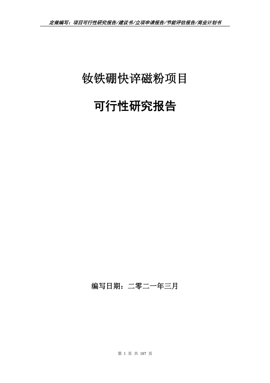 钕铁硼快谇磁粉项目可行性研究报告写作范本_第1页