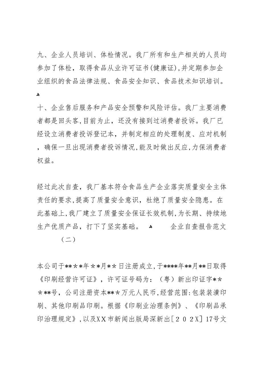 关于企业自查的报告_第5页