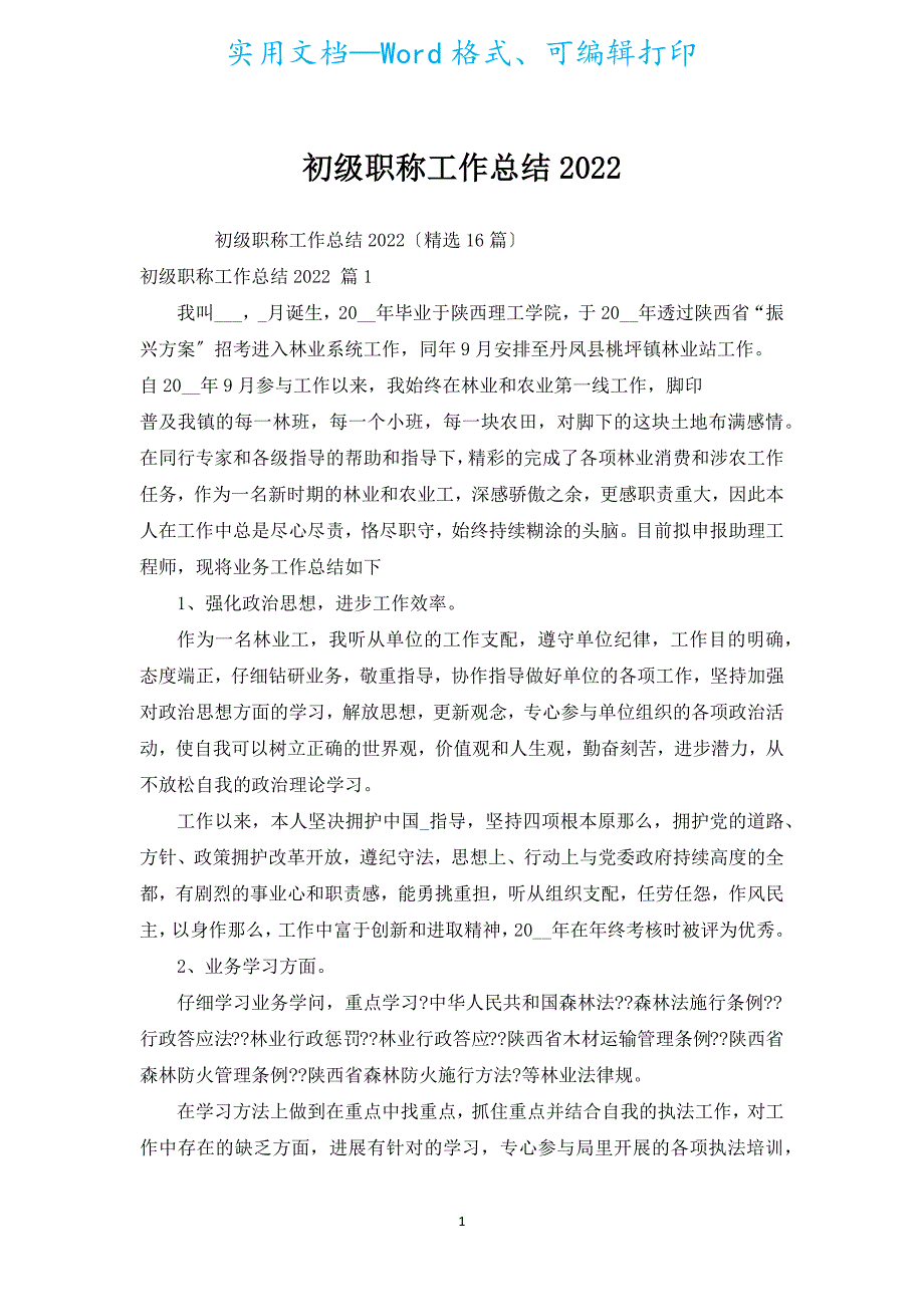 初级职称工作总结2022.docx_第1页